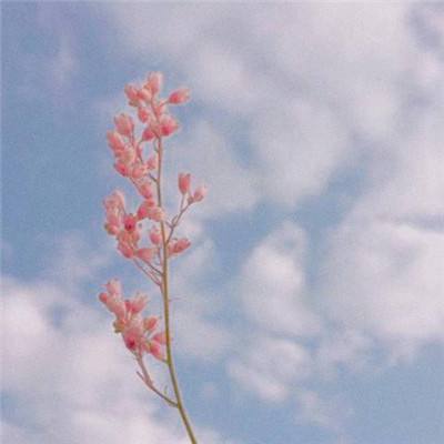 开元·appapp下载