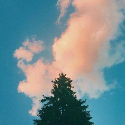 江南体育app在线下载