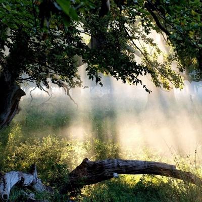 二人麻将app下载