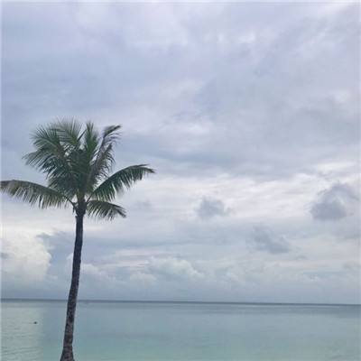 凤凰彩票最新版安卓版