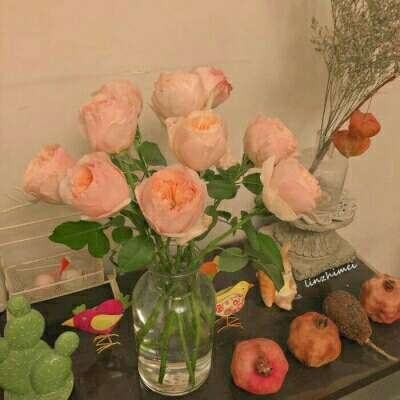 半岛平台官网入口