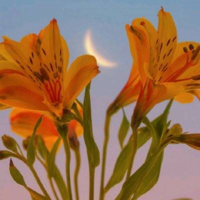 中欧体育app下载安装