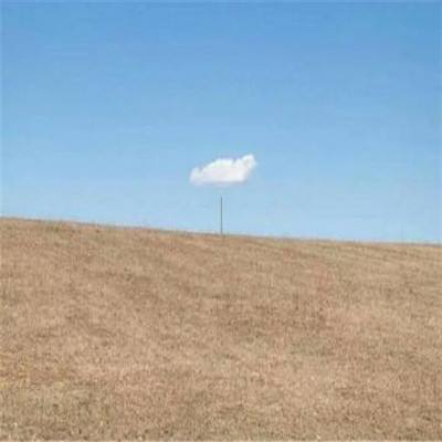 风云体育app下载官网最新版