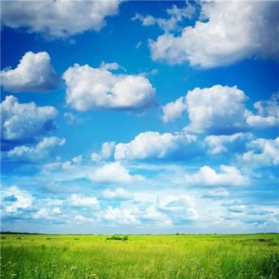 谁有正规万博网址